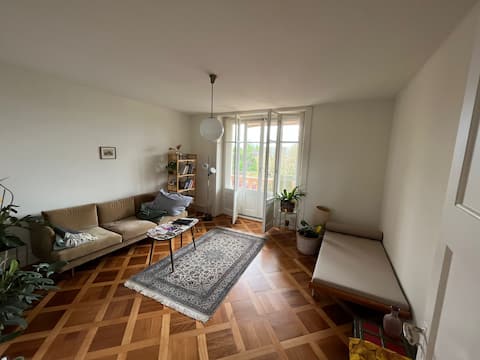 Beautiful flat with castle view