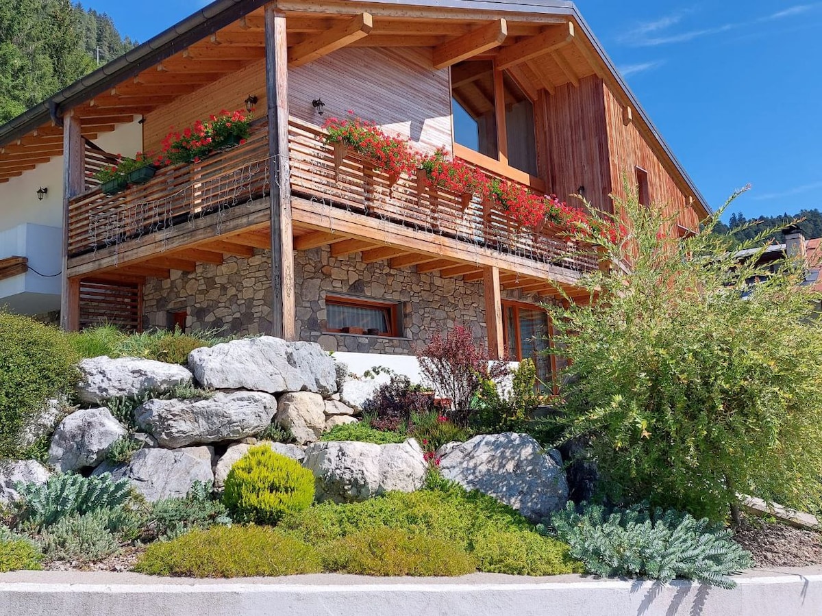 Popular Airbnb listing: palace in the sun in Pieve Di Cadore