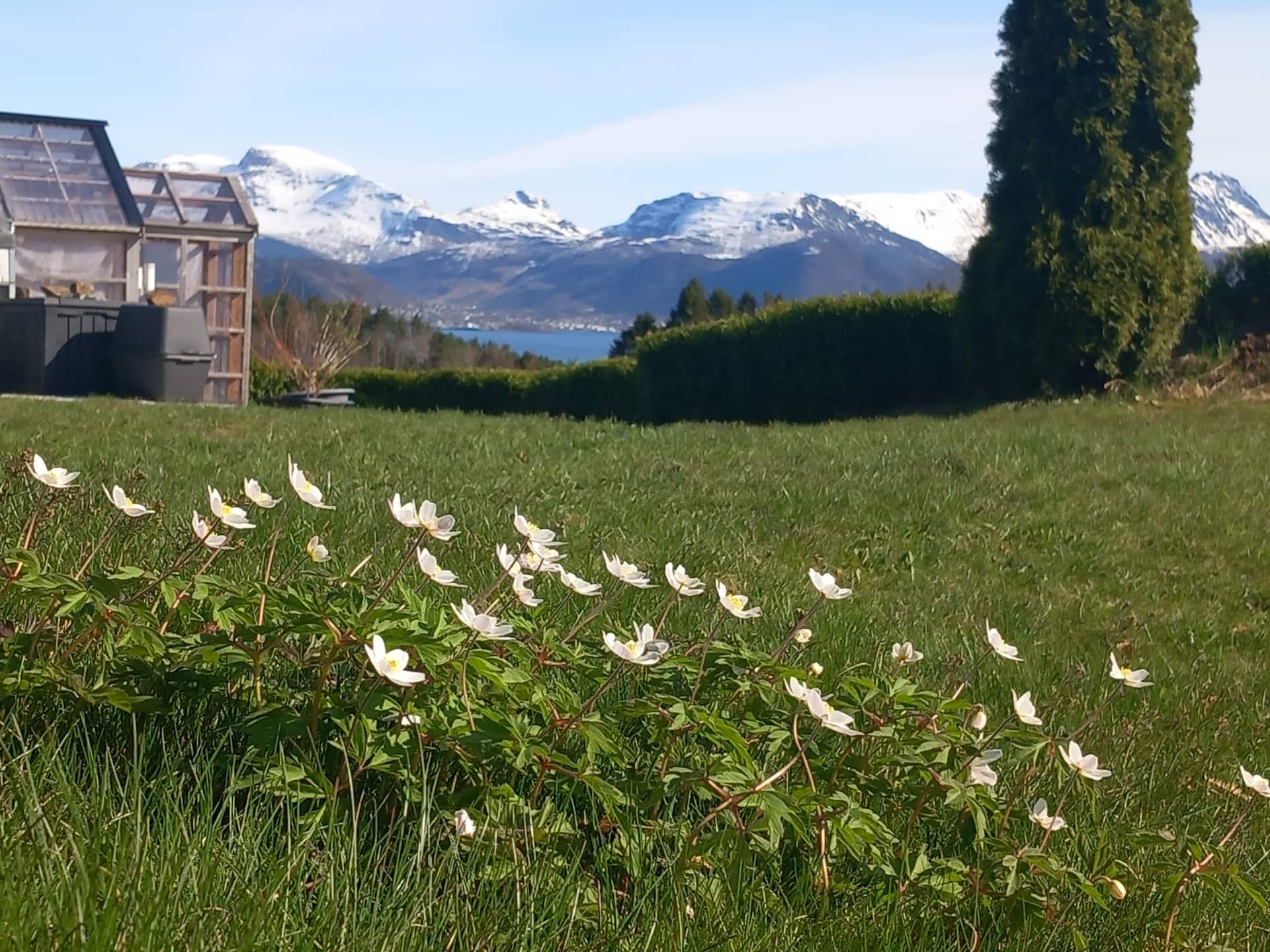 Spacious apartment in scenic surroundings.