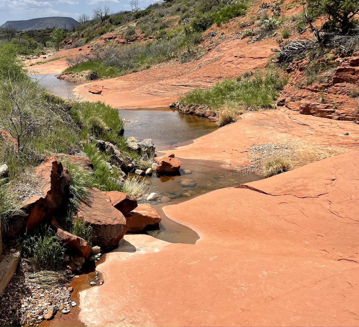 A serene landscape features a winding stream flowing through red rock formations. Lush green grasses and small shrubs dot the banks, providing natural contrast to the earthy tones. The gentle curves of the terrain lead the eye along the water's path.