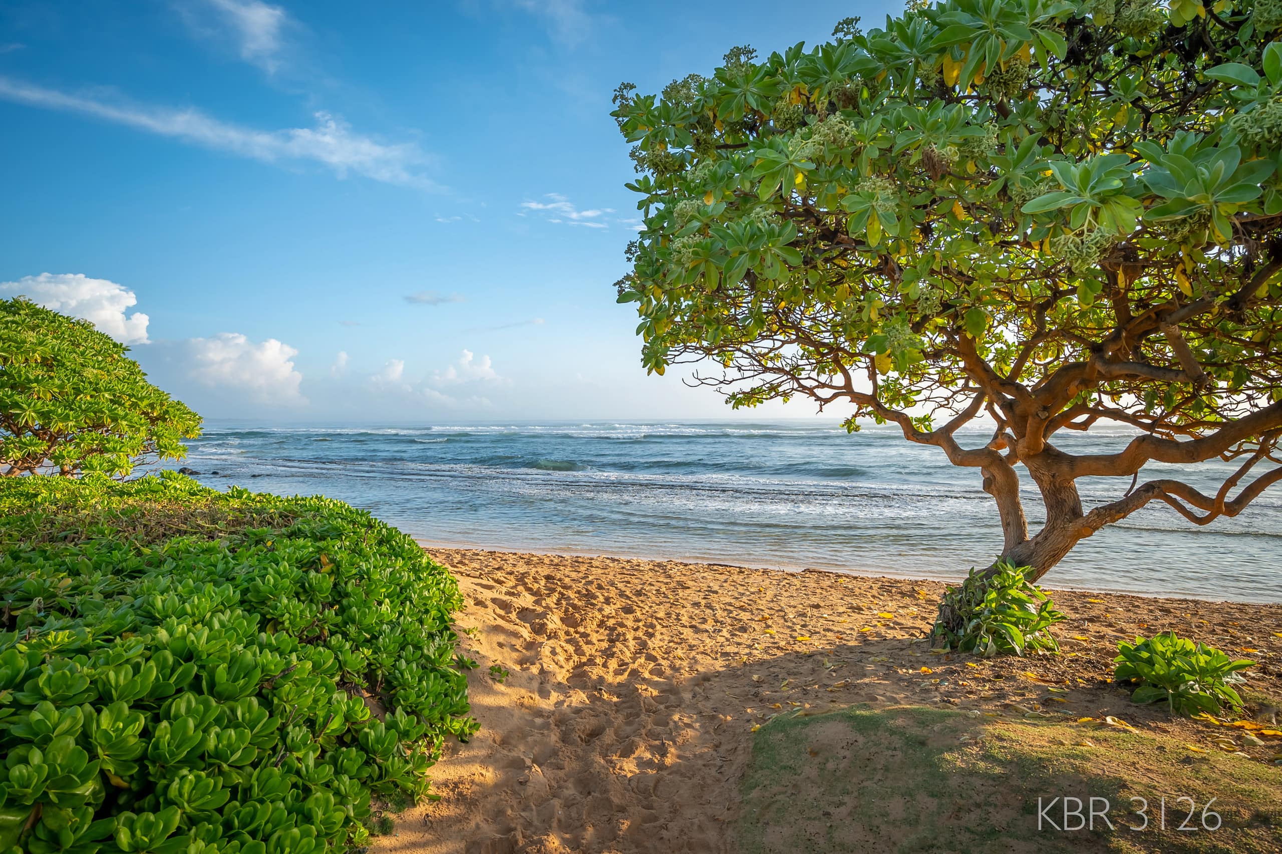 Resort in Lihue · ★4.78 · 1 bedroom · 2 beds · 1 private bath - Image 10