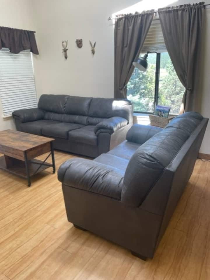 غرفة معيشة بها أريكة بسرير بحجم كبير.