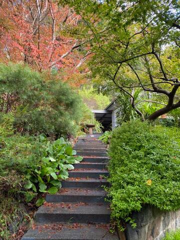 Higher Ground Warburton gallery image 2