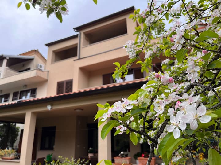 Free  Parking-two-bedroom Affordable Accommodation - Rovigno