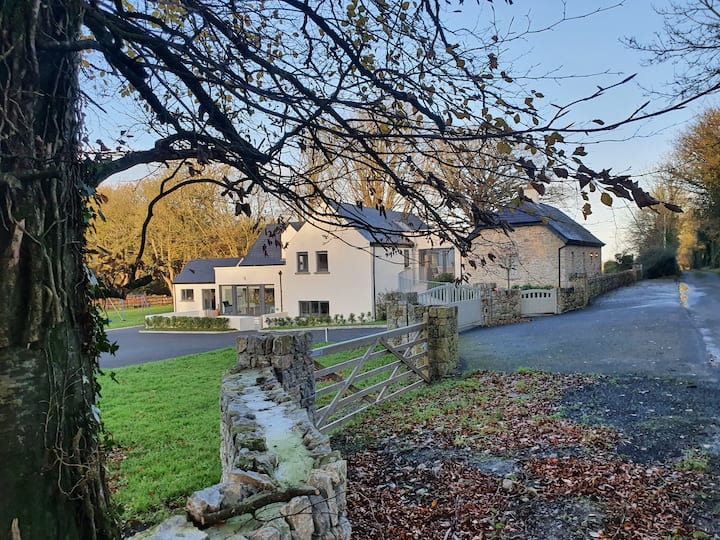 Enclosure in Baggotstown
