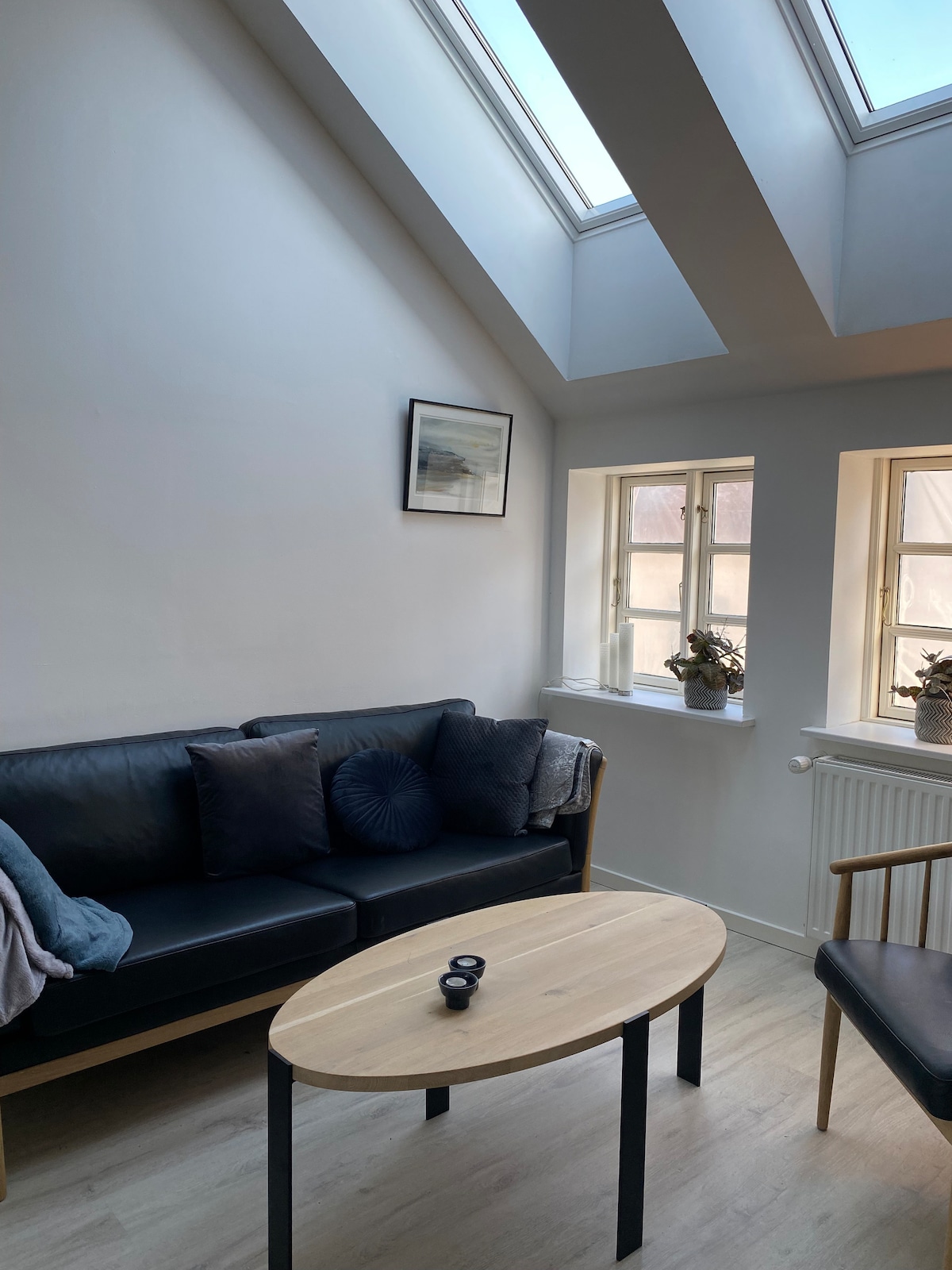 A bright living area features a black sofa adorned with cushions, positioned beside a wooden coffee table. Natural light enters through the skylight and two windows, illuminating the space. Decorative plants are displayed on the windowsill, enhancing the room's calm ambiance.