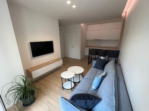 Modern apartment 