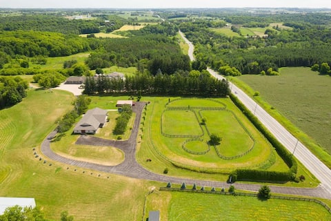 Luxury Guest House In King City