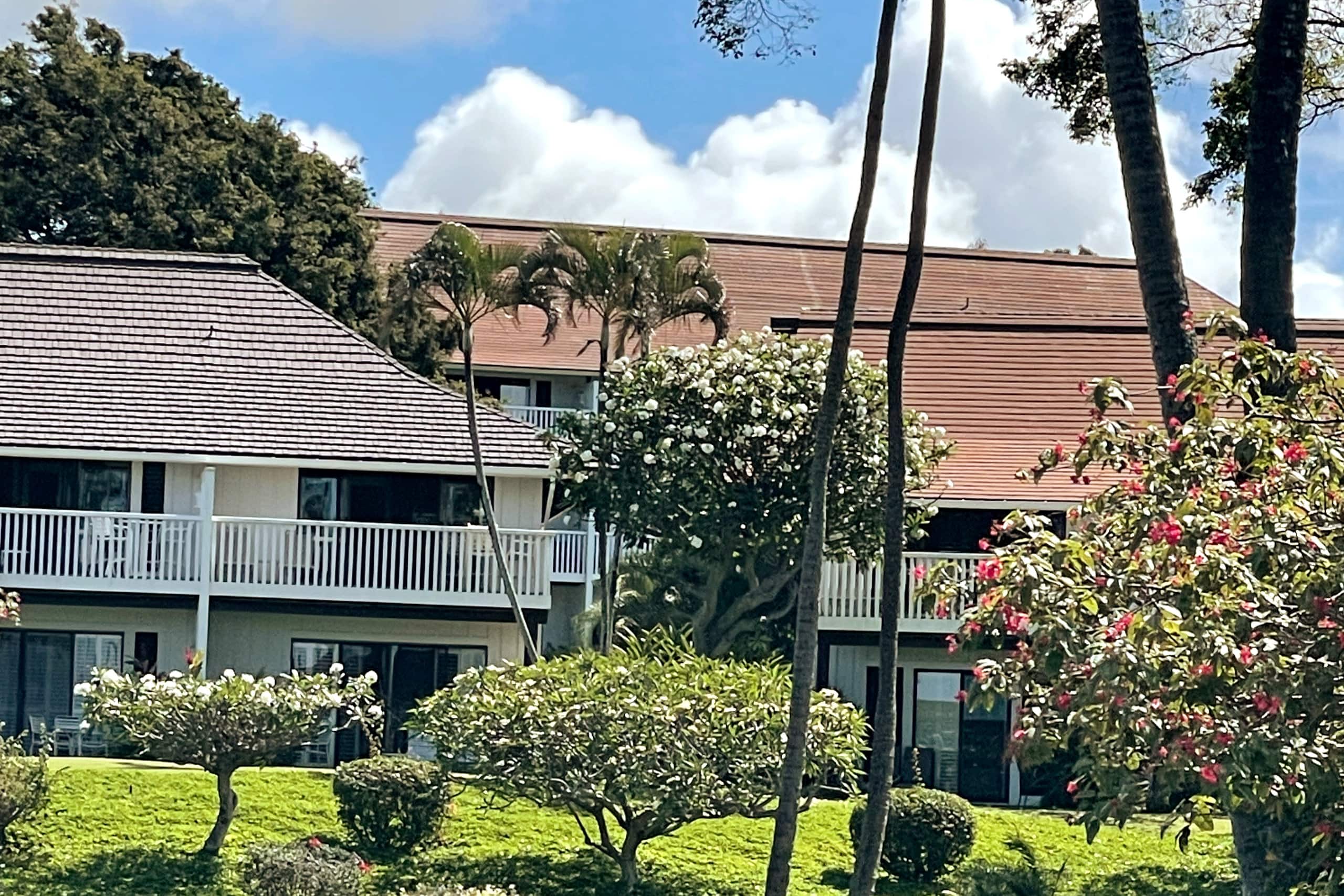 Updated Ocean View Retreat A/C, Beach, Pool, Gym - Main photo