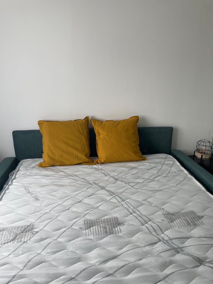 โซฟาเบดที่นอนจริง 140 ซม. หนา 15 ซม. 