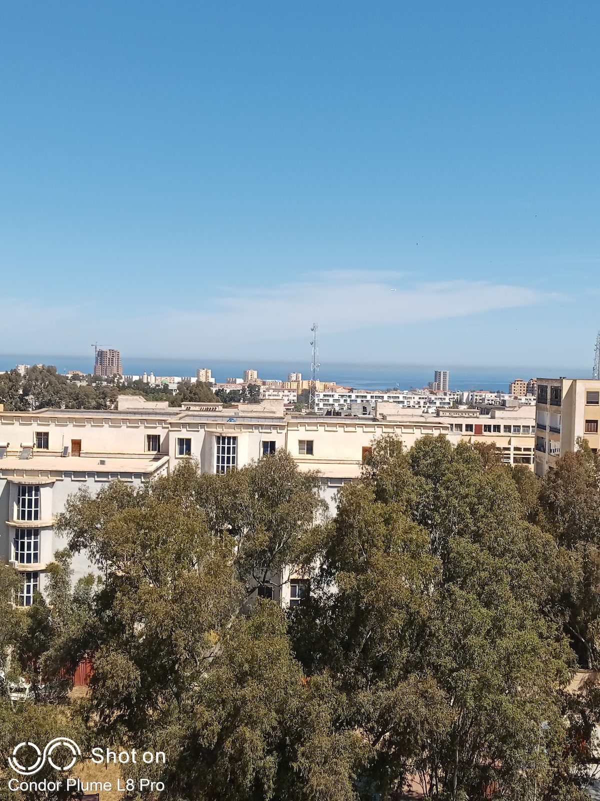 A panoramic view captures the coastline with the sea visible in the distance, framed by buildings and lush greenery in the foreground. The clear blue sky enhances the scene, providing a sense of openness and tranquility.