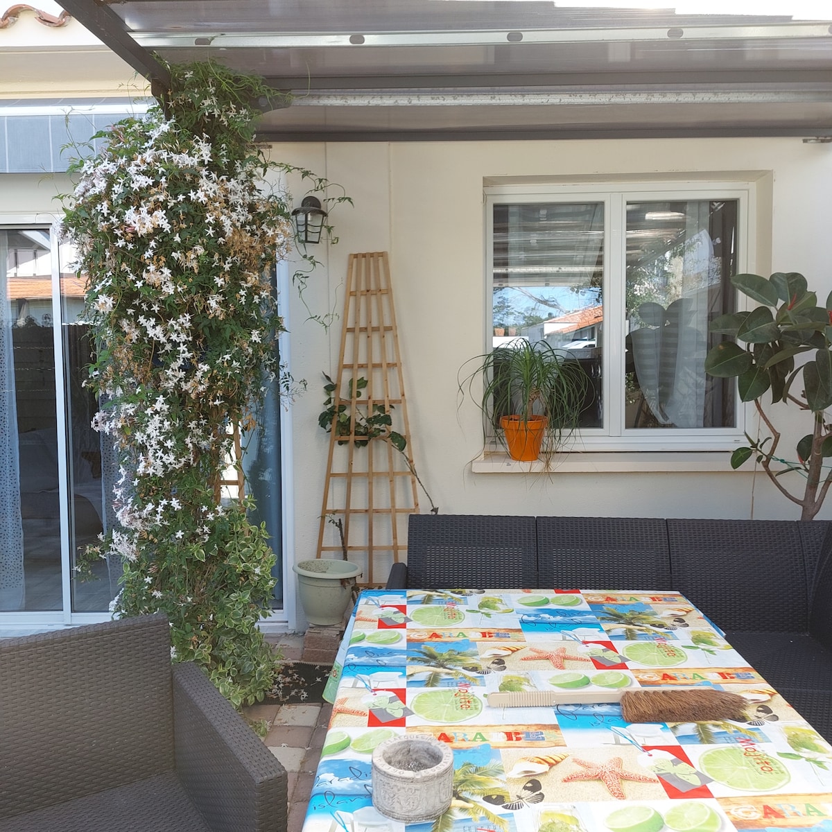 An outdoor seating area is depicted, featuring a table covered with a colorful tablecloth. Surrounding the table are dark wicker chairs. A nearby wall showcases green climbing plants and a potted orange flower. Glass doors provide access to the interior space.