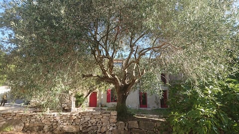 Large family home (6/8 people) in Cathar country