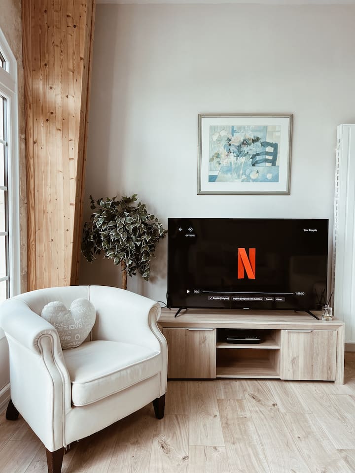 Smart TV na Netflix