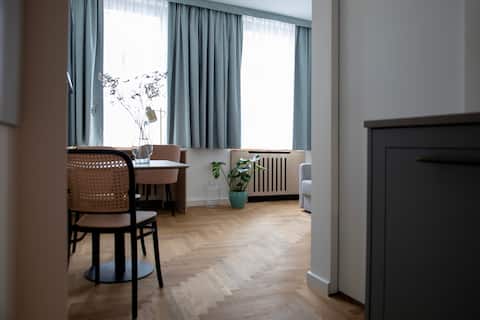 1 Bedroom apartment with Kitchen, in Bonn Zentrum