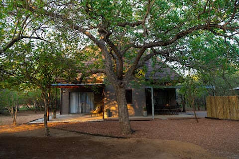 Bushveld Jewel - traditional beauty, all you need!