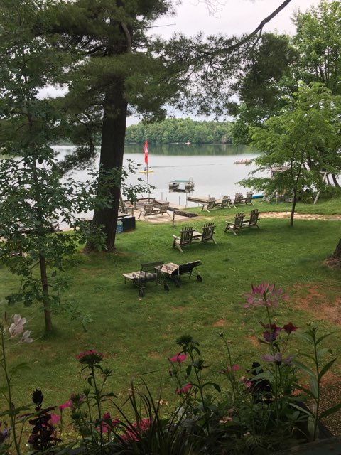 A serene lakeside view showcases a grassy area dotted with wooden chairs and a flag marking the shoreline. A dock extends into the water, where boats are visible. Surrounding trees and colorful flowers add to the natural beauty of the setting.