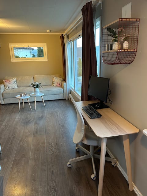 Successful Airbnb property: Spacious apartment - central - view - parking in Drammen