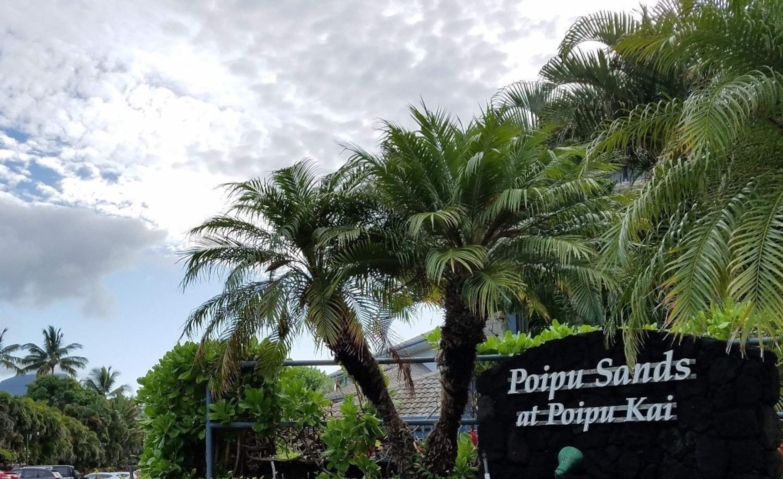 Poipu Dream Condo - Photo 18