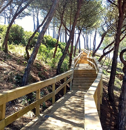 A wooden pathway winds through a natural setting, flanked by tall trees and greenery. Sunlight filters through the branches, creating a serene atmosphere as it leads toward an elevated area.