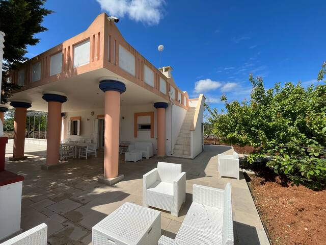 Villa with saltwater pool among olive groves gallery image 2