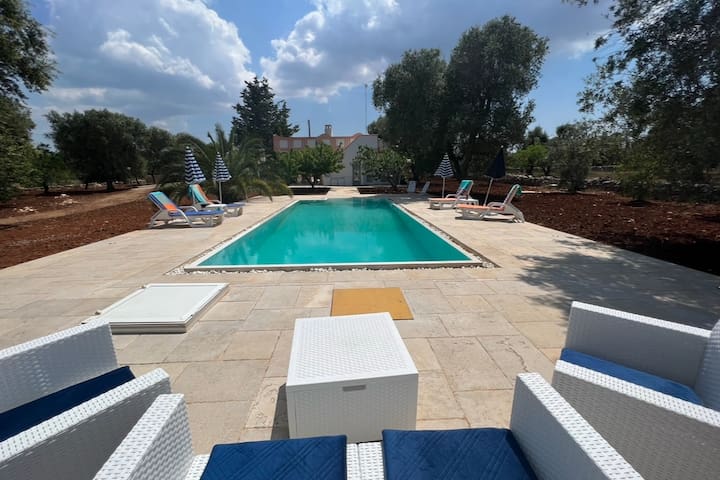Villa with saltwater pool among olive groves
