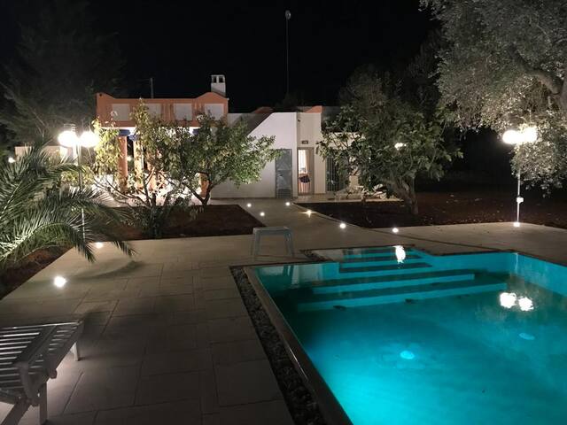 Villa with saltwater pool among olive groves gallery image 3