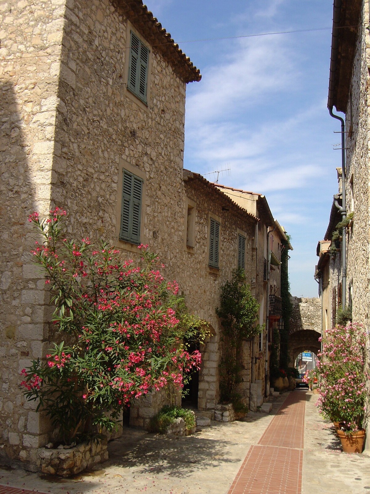 A narrow cobblestone street is lined with charming stone buildings, featuring green-shuttered windows. Vibrant pink flowering plants add color along the path, leading towards an archway in the distance. The scene is illuminated by soft natural light under a partly cloudy sky.