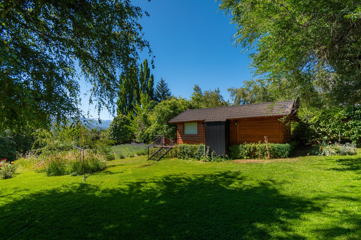 A charming wooden cabin is framed by lush greenery, set amidst a spacious lawn. Surrounding plants feature varying shades of green, with sunlight filtering through the trees. A wooden staircase leads to the entrance, inviting exploration of the tranquil outdoor environment.