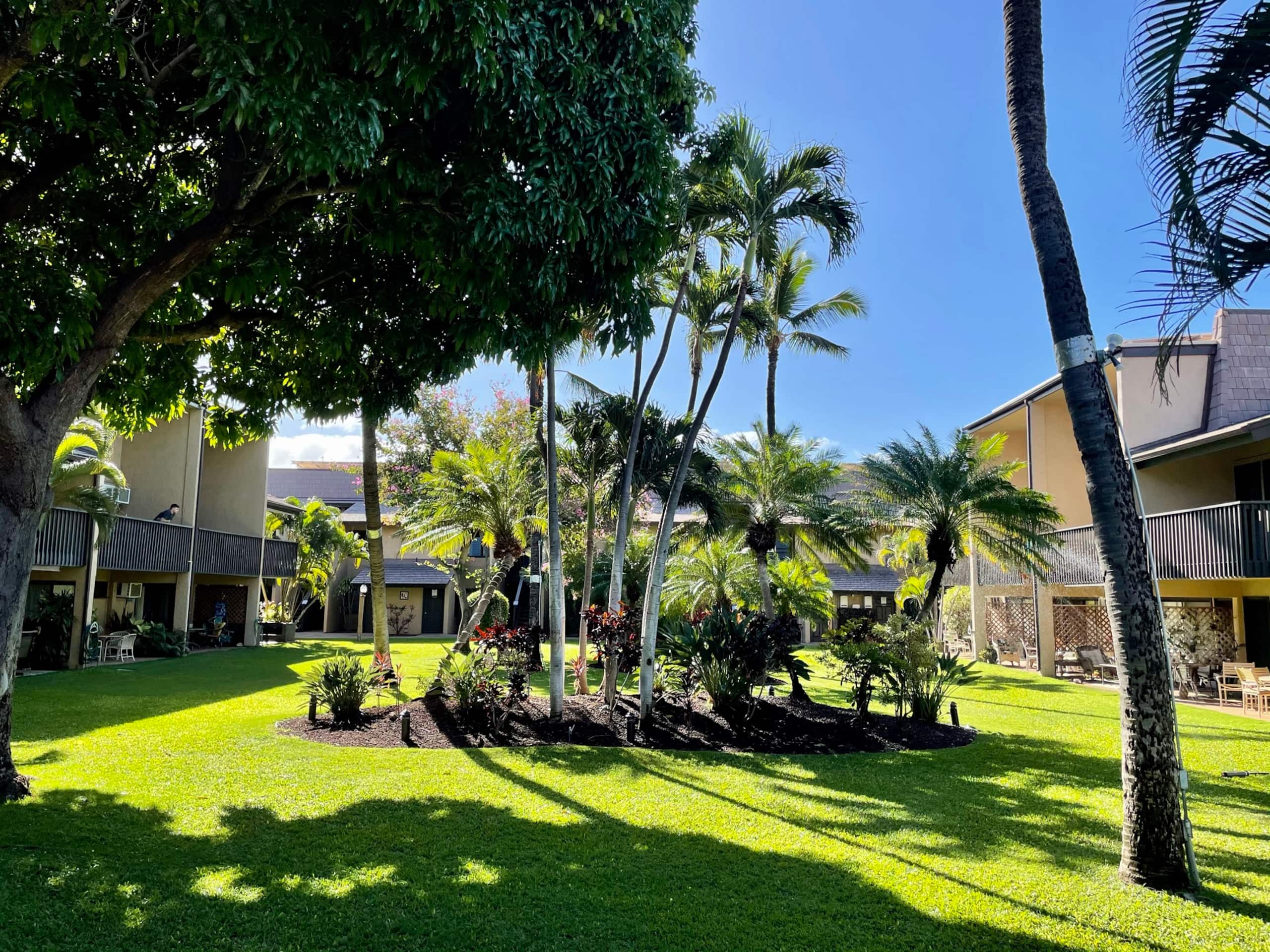 Condo in Kihei · ★4.96 · 2 bedrooms · 4 beds · 1 bath - Image 24