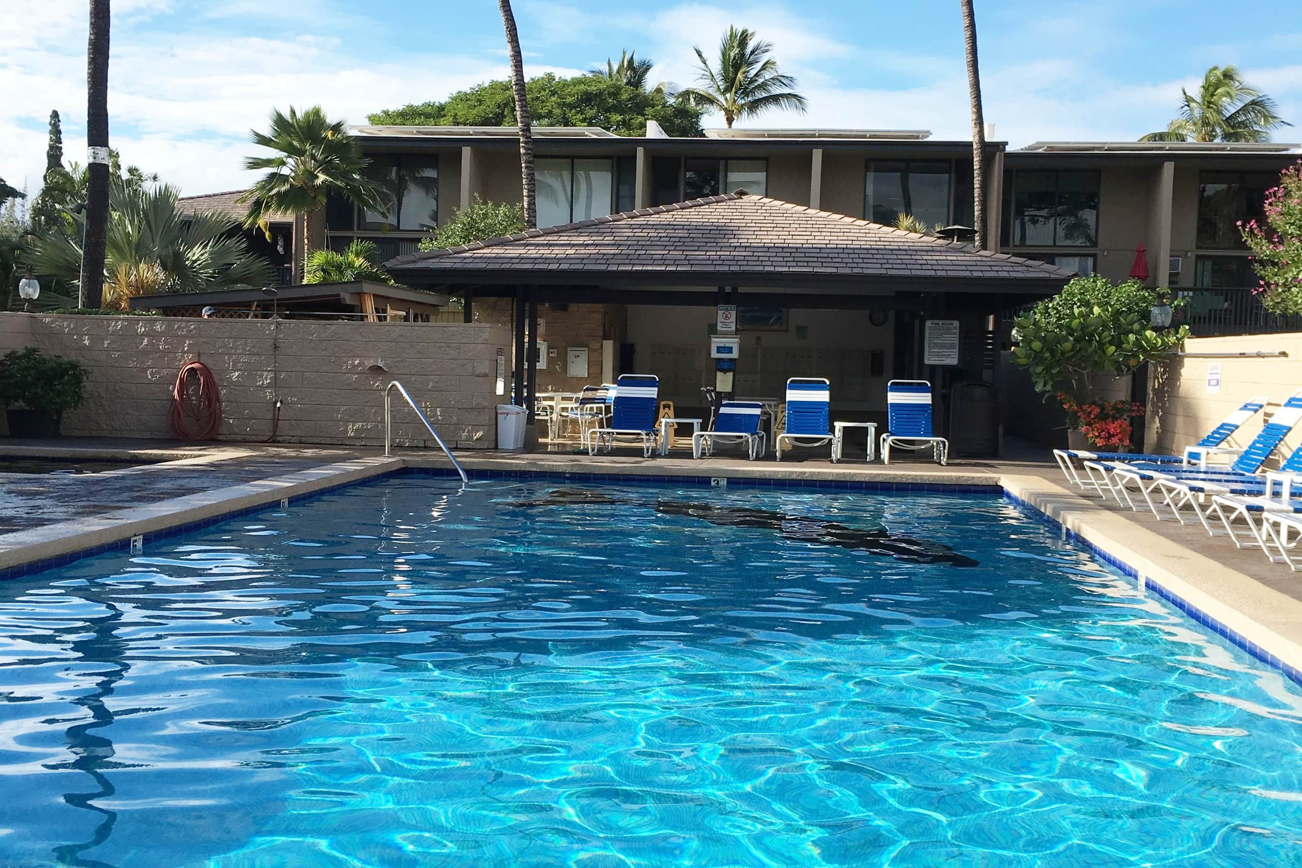 Condo in Kihei · ★4.96 · 2 bedrooms · 4 beds · 1 bath - Image 27