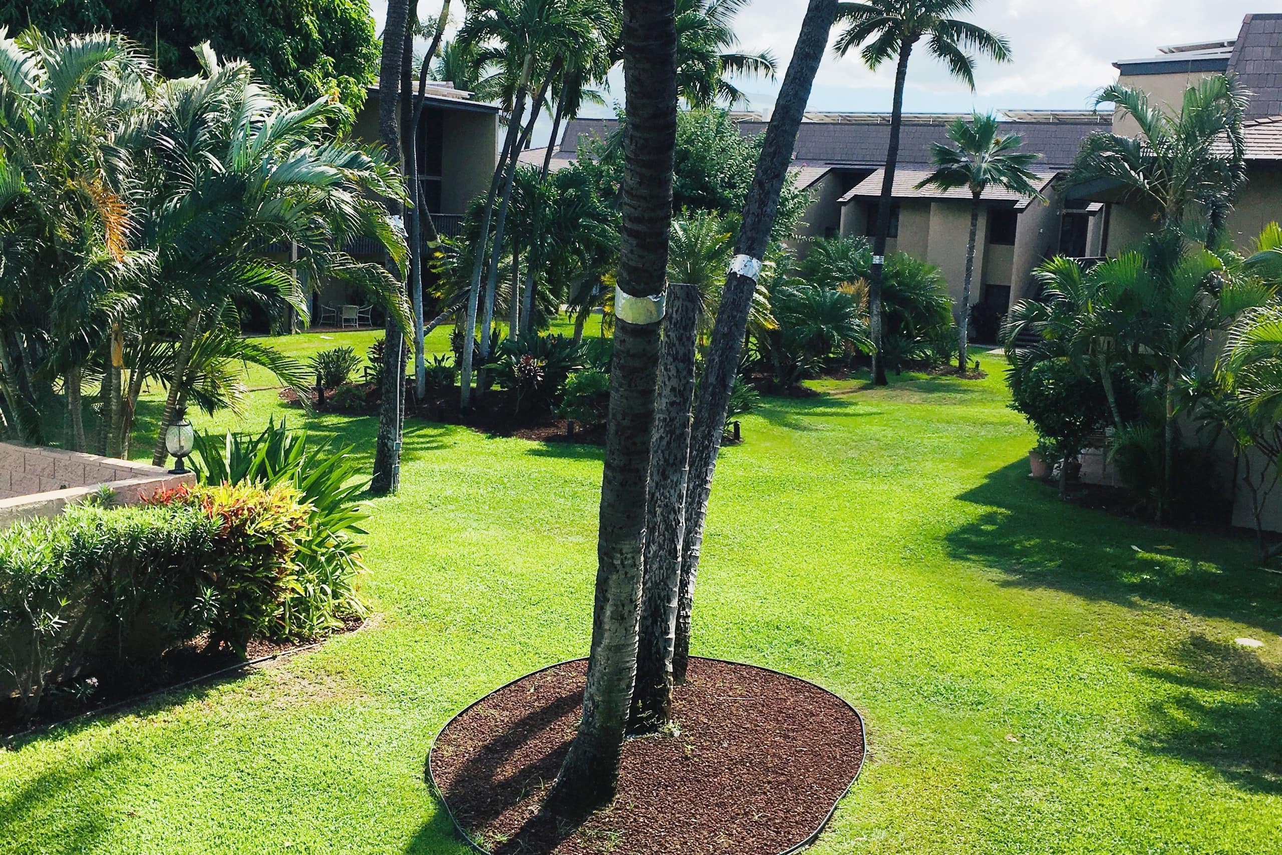 Condo in Kihei · ★4.96 · 2 bedrooms · 4 beds · 1 bath - Image 23
