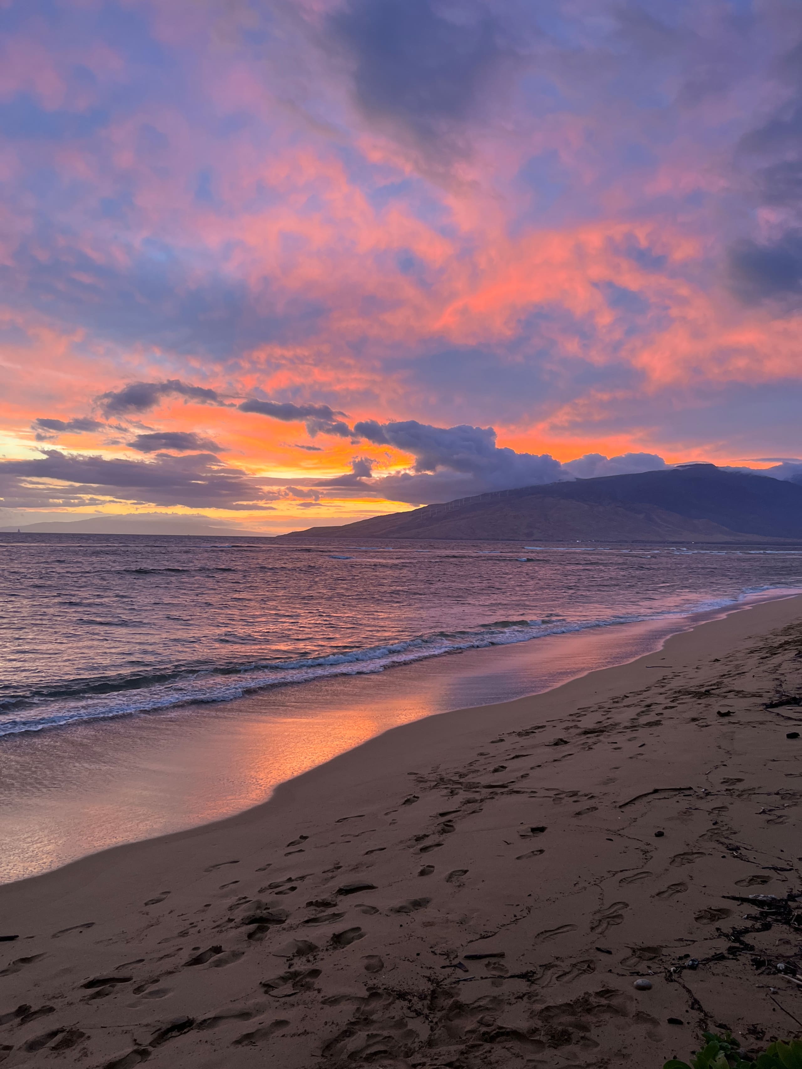Condo in Kihei · ★4.96 · 2 bedrooms · 4 beds · 1 bath - Image 37