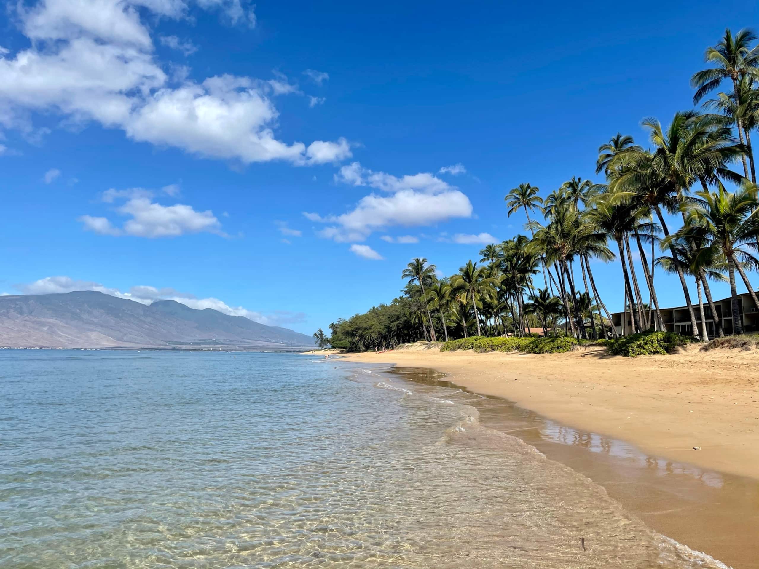 Condo in Kihei · ★4.96 · 2 bedrooms · 4 beds · 1 bath - Image 29