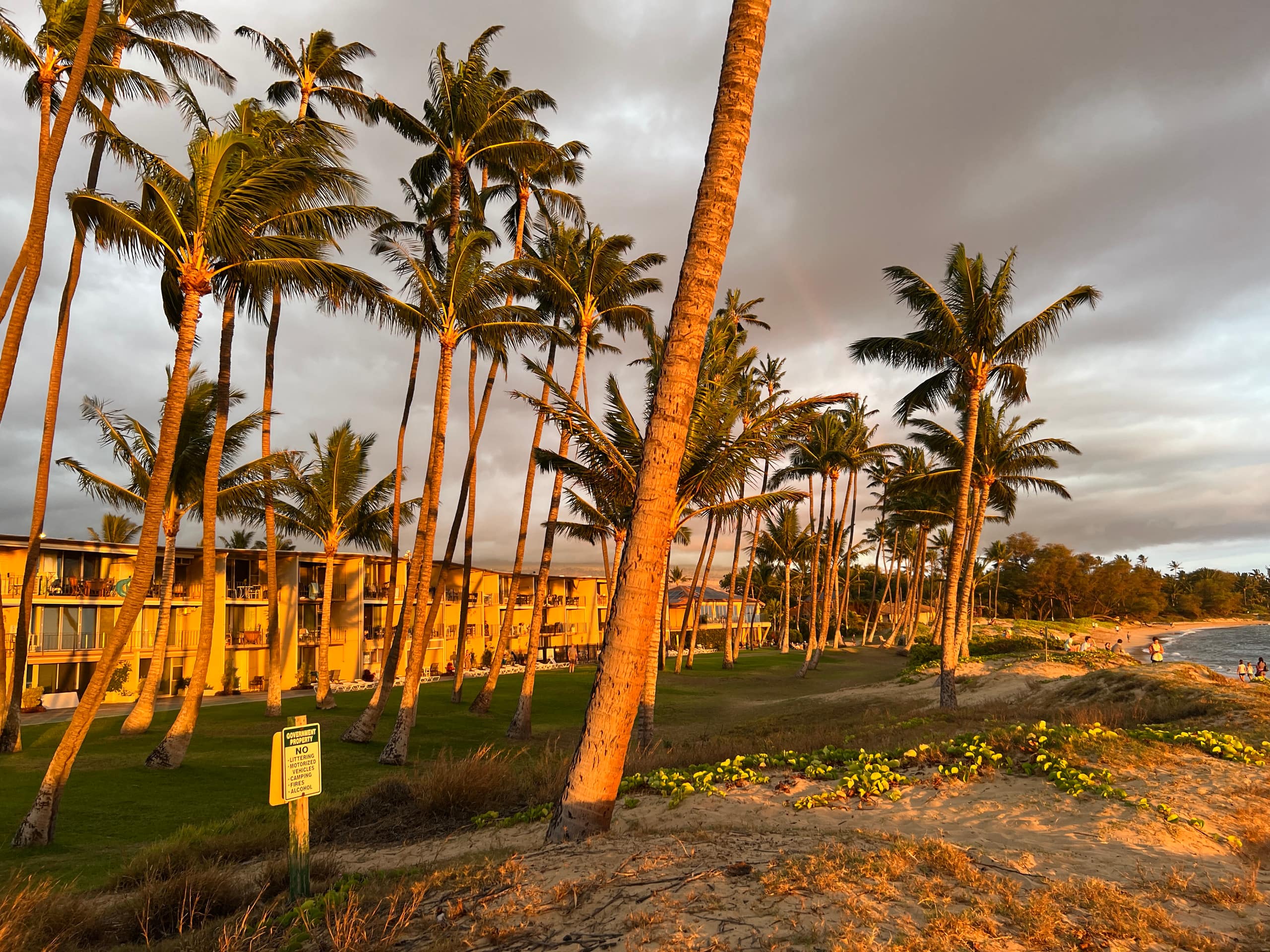 Condo in Kihei · ★4.96 · 2 bedrooms · 4 beds · 1 bath - Image 34