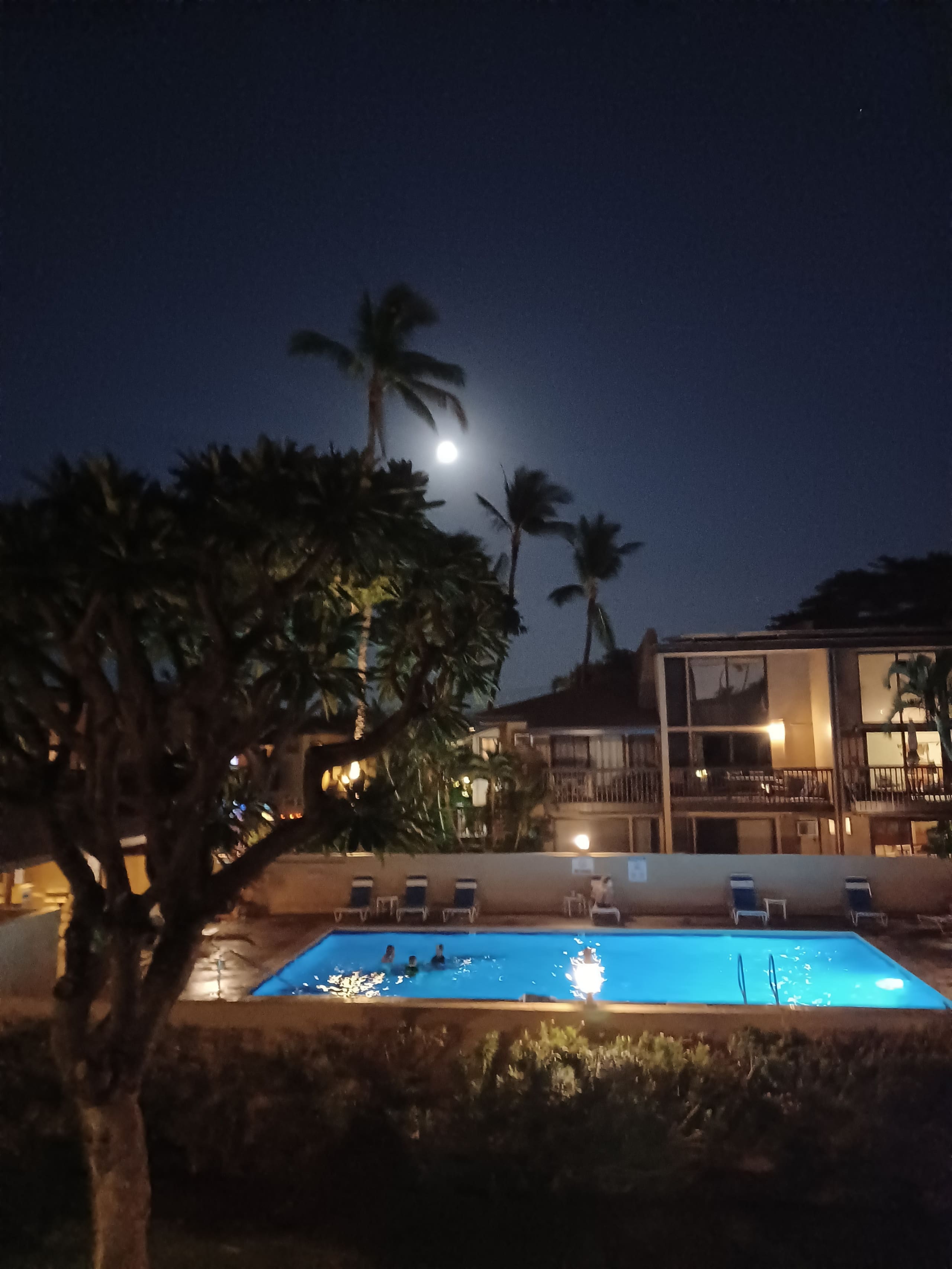 Condo in Kihei · ★4.96 · 2 bedrooms · 4 beds · 1 bath - Image 32