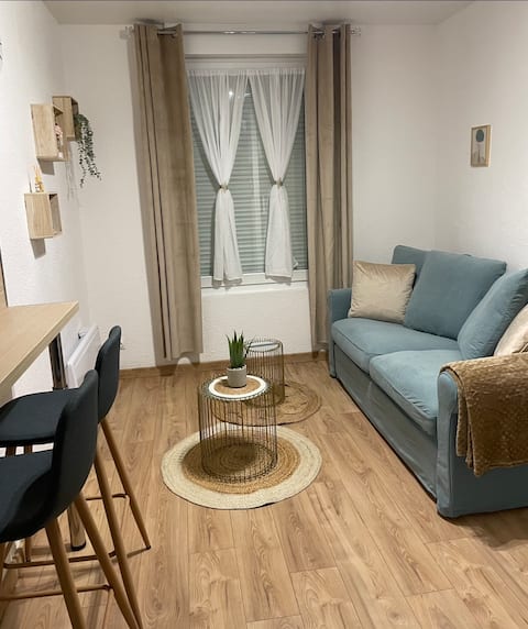 Top performing Airbnb: Cozy studio full hyper center Reims in Reims