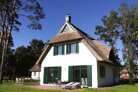 Beautiful thatched cottage by the dune forest