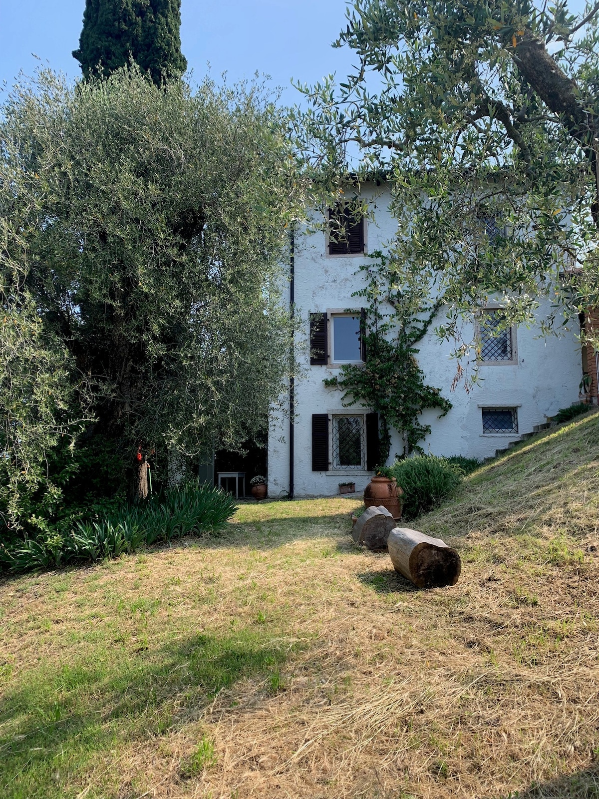 A charming villa is set amidst lush greenery, featuring a rustic white façade and traditional windows. Olive trees and bushes frame the property, while logs are placed along the grassy pathway leading up to the entrance, contributing to a serene outdoor atmosphere.