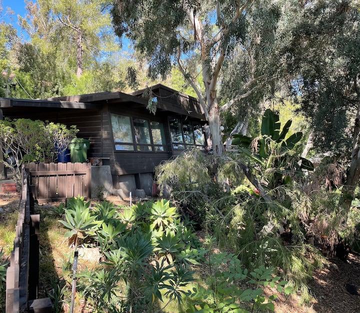 Mid-century Serene Home - Los Ángeles, CA