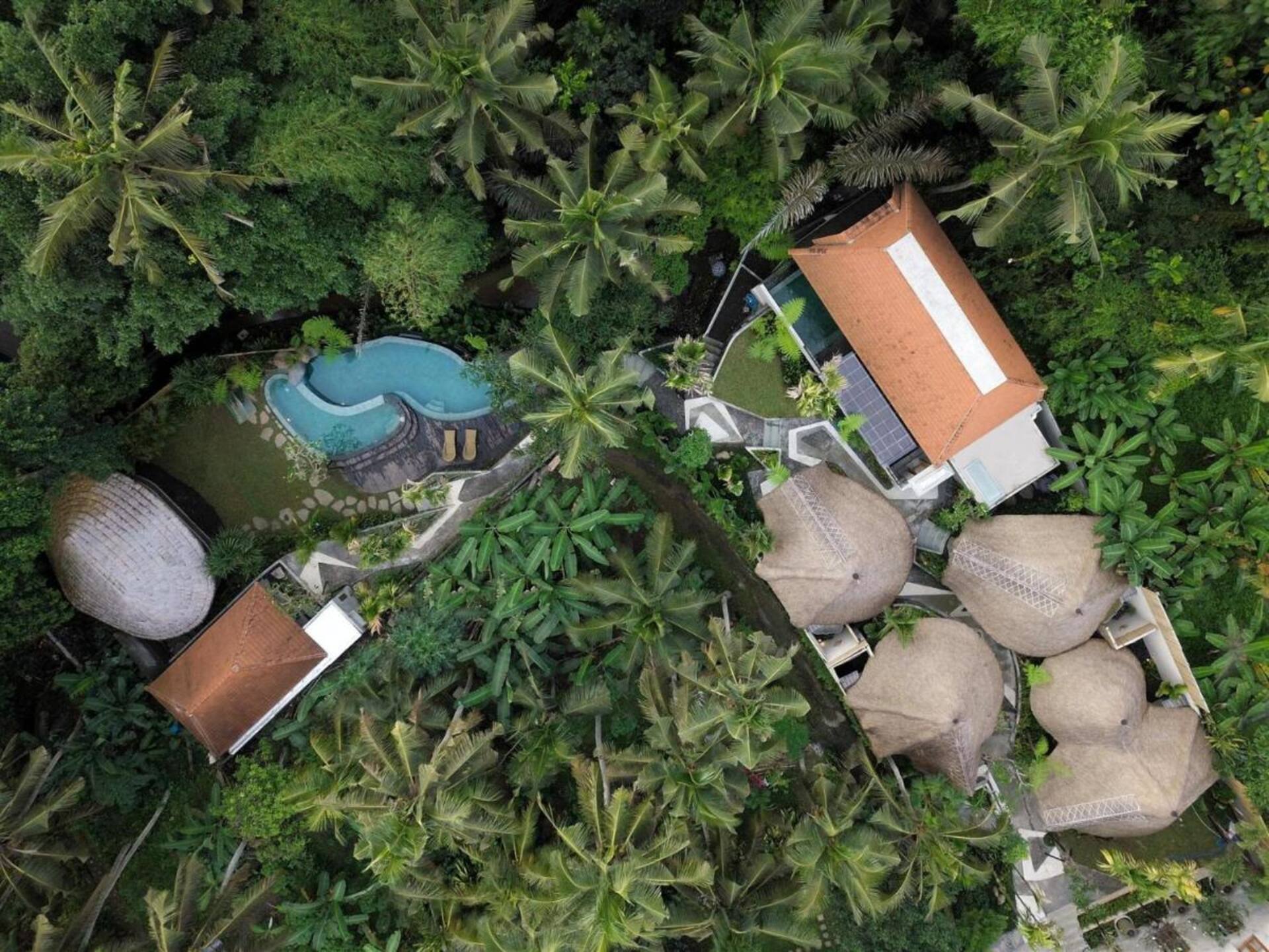 Jungle Nature Nook 1 Bedroom Cottage in Ubud 3