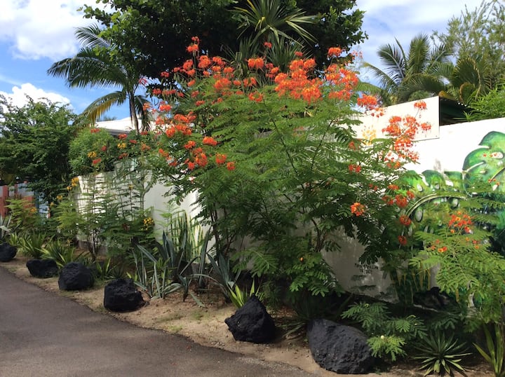 La Ptit Case En Tôle Au Bord De Locéan - La Réunion