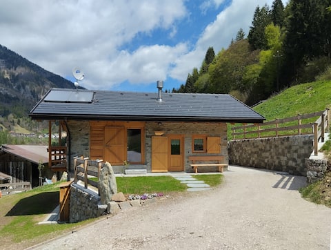 19.22 Mountain Chalet CIPAT022038-AT-012816