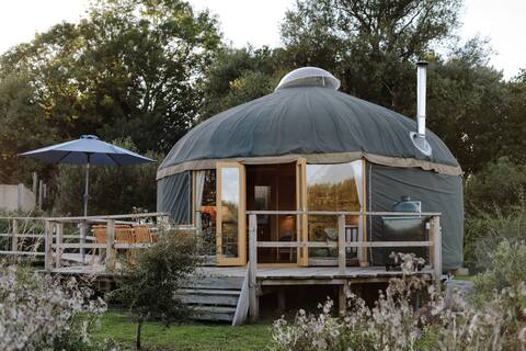Tree Field Yurt