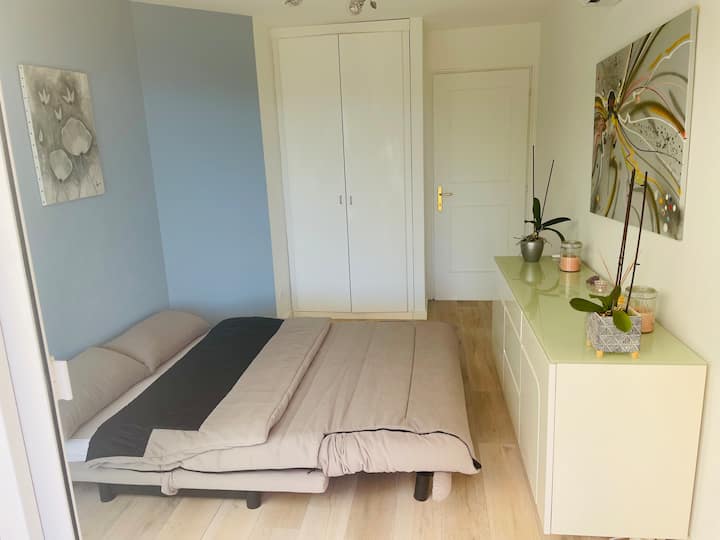 Спална соба 2 со кауч на спуштање 