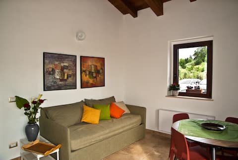 Top Airbnb: Relais L'Uliveto – Dimora degli Ulivi in Pineto