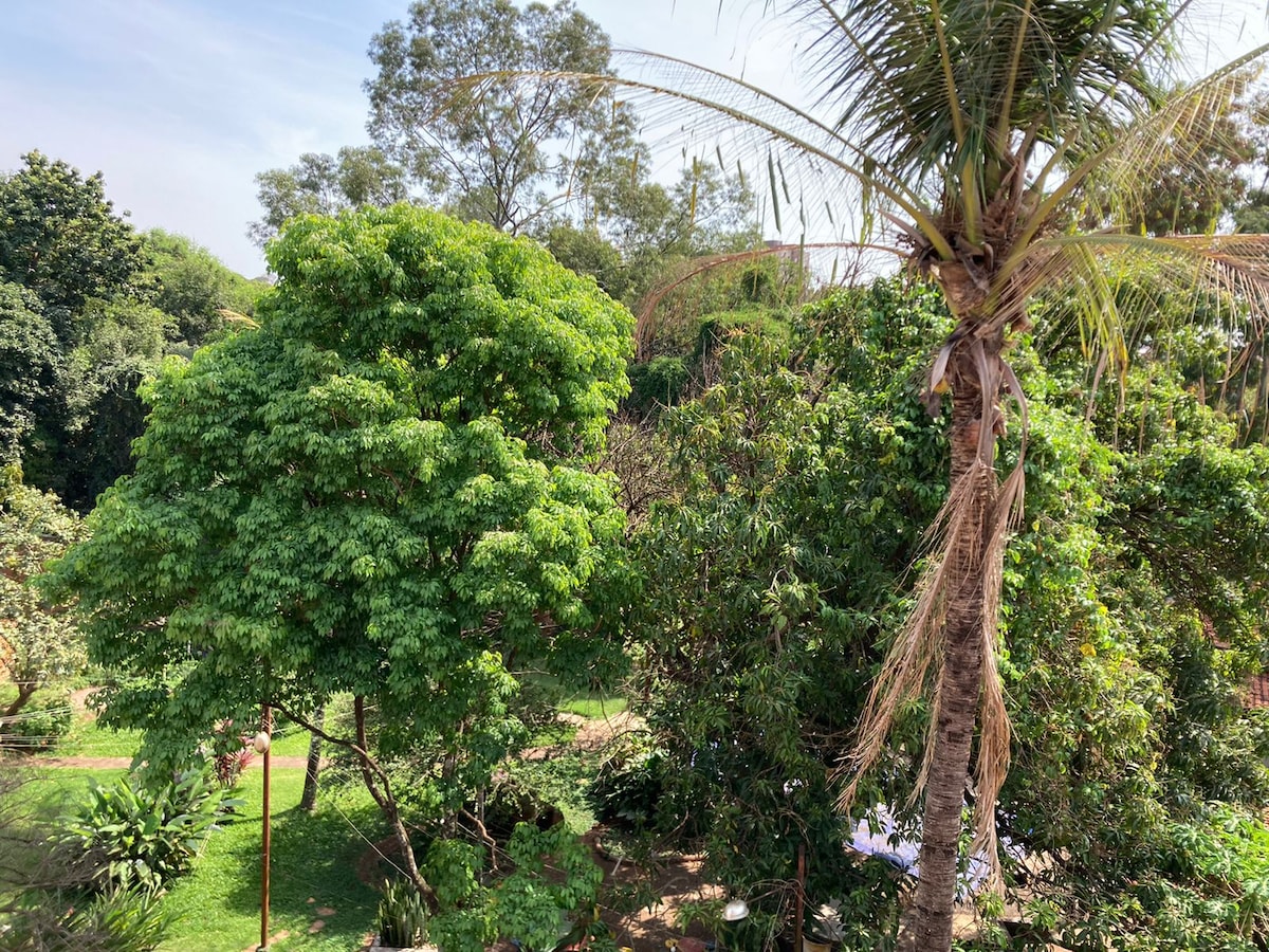 A lush green landscape is visible, featuring a variety of trees, including tall palms and broad-leafed species. The greenery surrounds a tranquil space, suggesting a serene environment enriched by nature, inviting relaxation and connection with the outdoors.