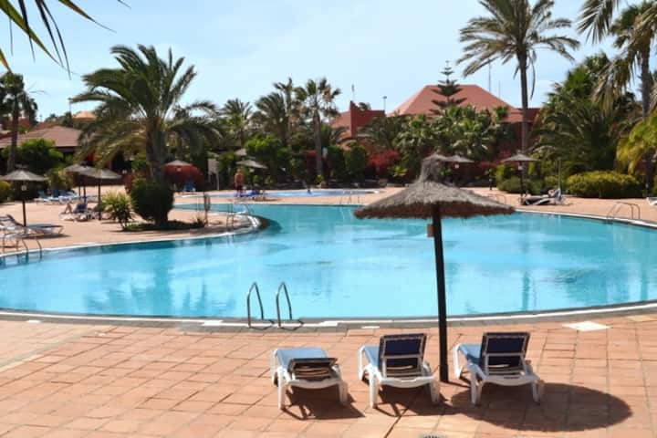 Sun & Sea Apartment In Corralejo - Corralejo