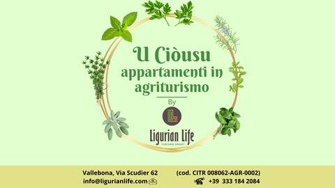 Basilico by Ligurian Life Agriturismo U Ciousu