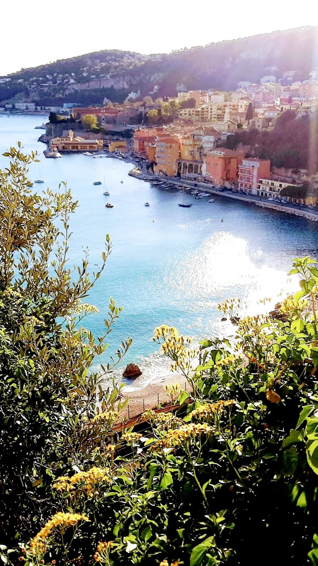 A coastal view showcases colorful buildings lining the shoreline, with boats gently bobbing on the shimmering blue water. Scenic greenery frames the foreground, while the sun illuminates the landscape, enhancing the vibrant hues of the landscape and sea.